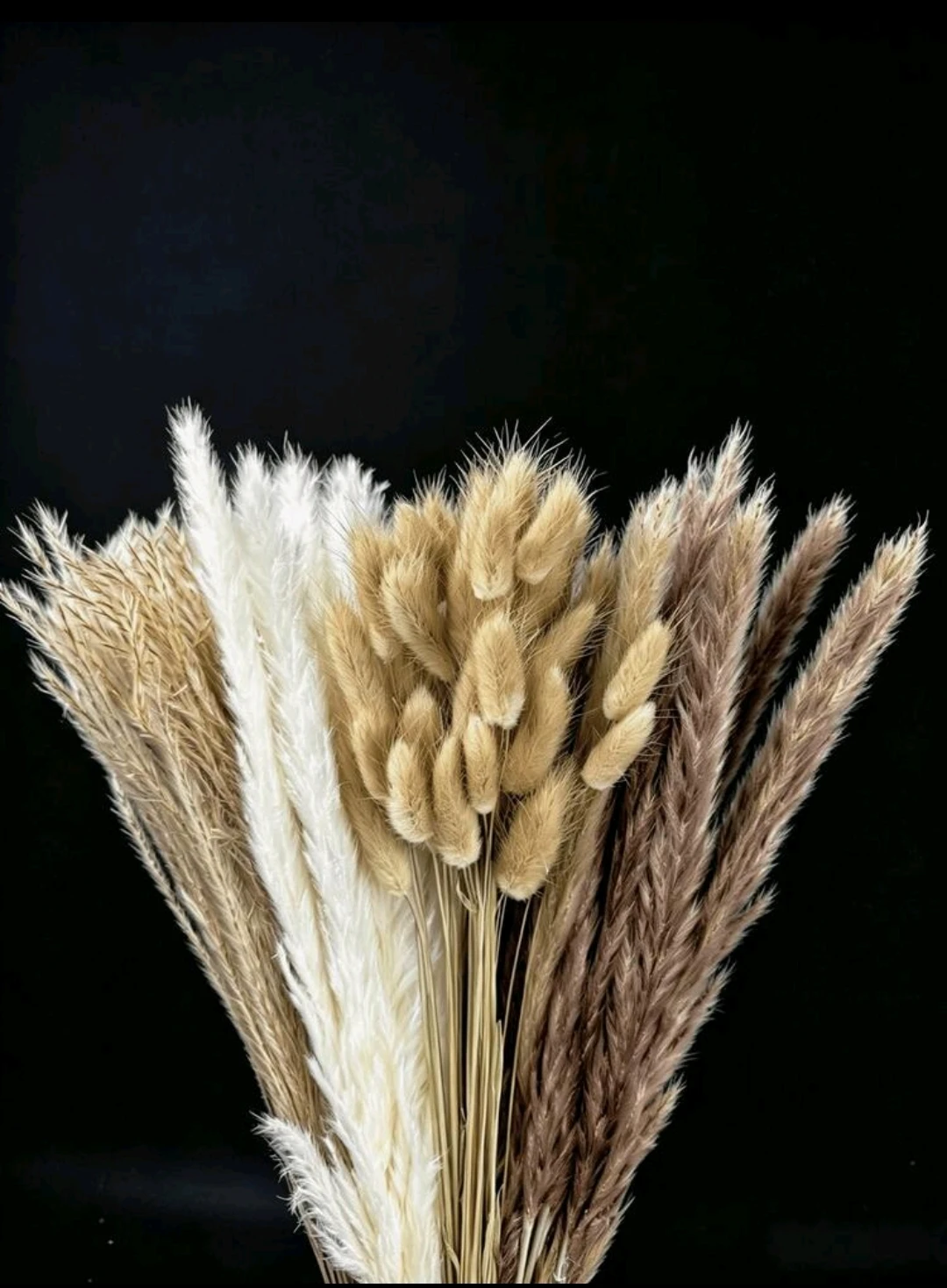 المنتج